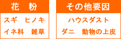 アレルギーの原因